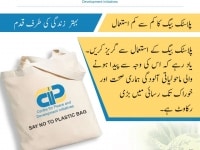 Say No to Pastic Bags